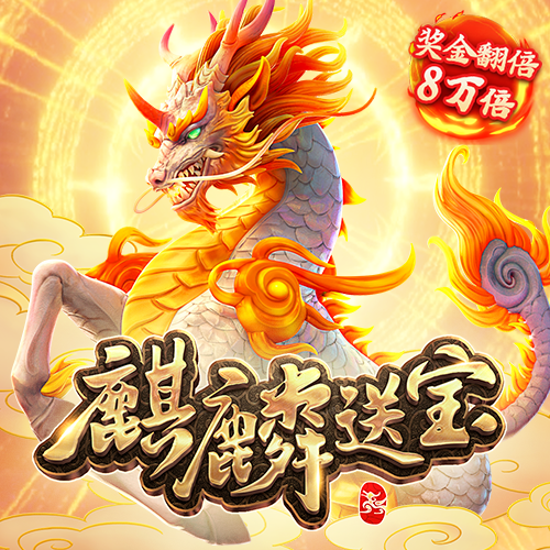 bibo必博体育官网